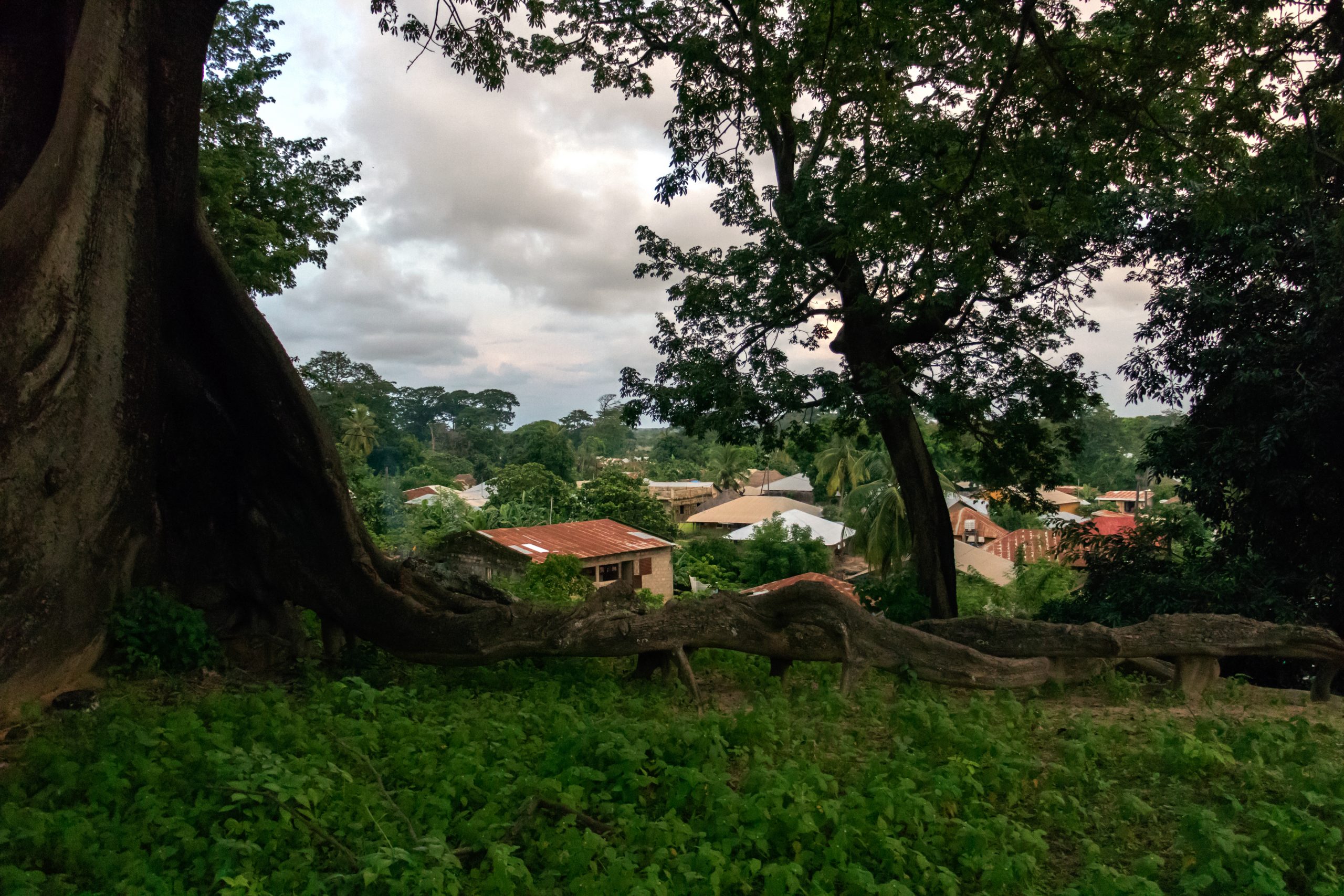 La Casamance, 1 joyau méconnu du Sénégal