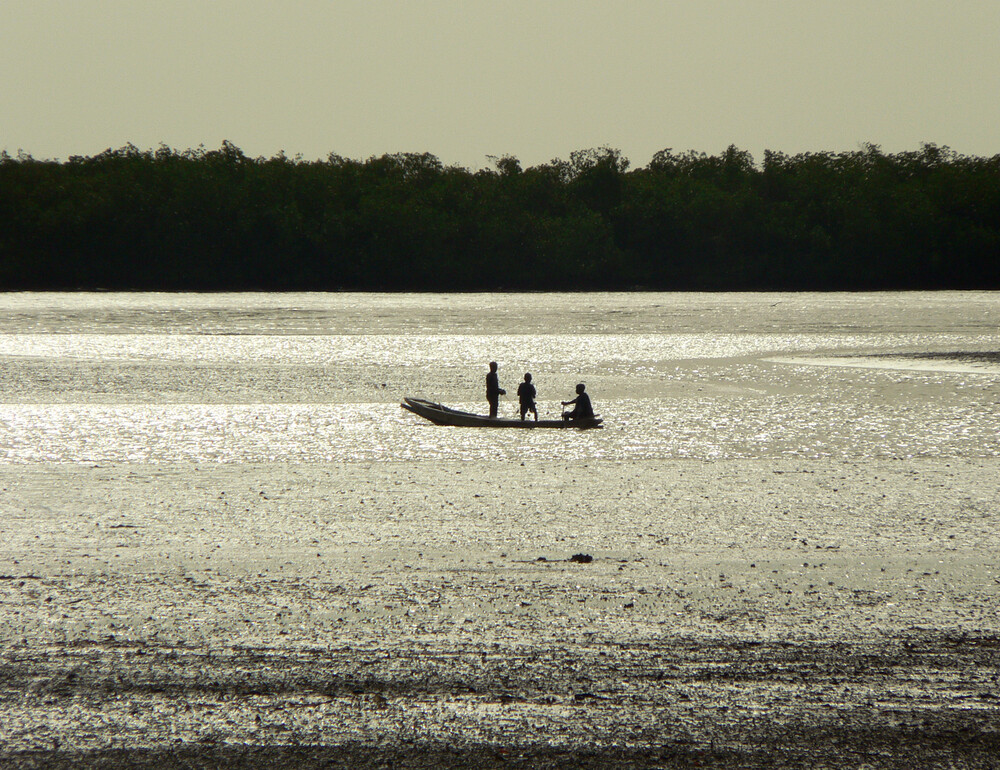 Le Delta du Saloum : Une Échappée Envoûtante dans le Tourisme Sénégalais